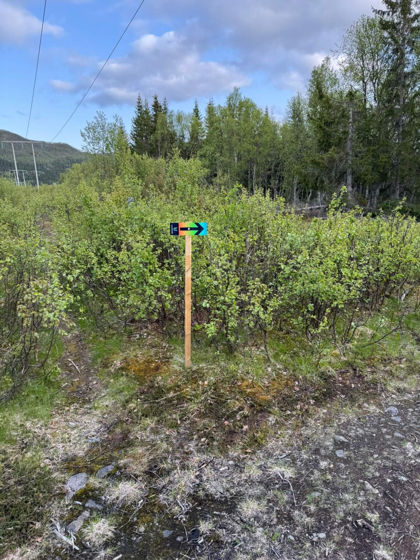 Merking og gjennomgang av løype! 6 IMG 2346