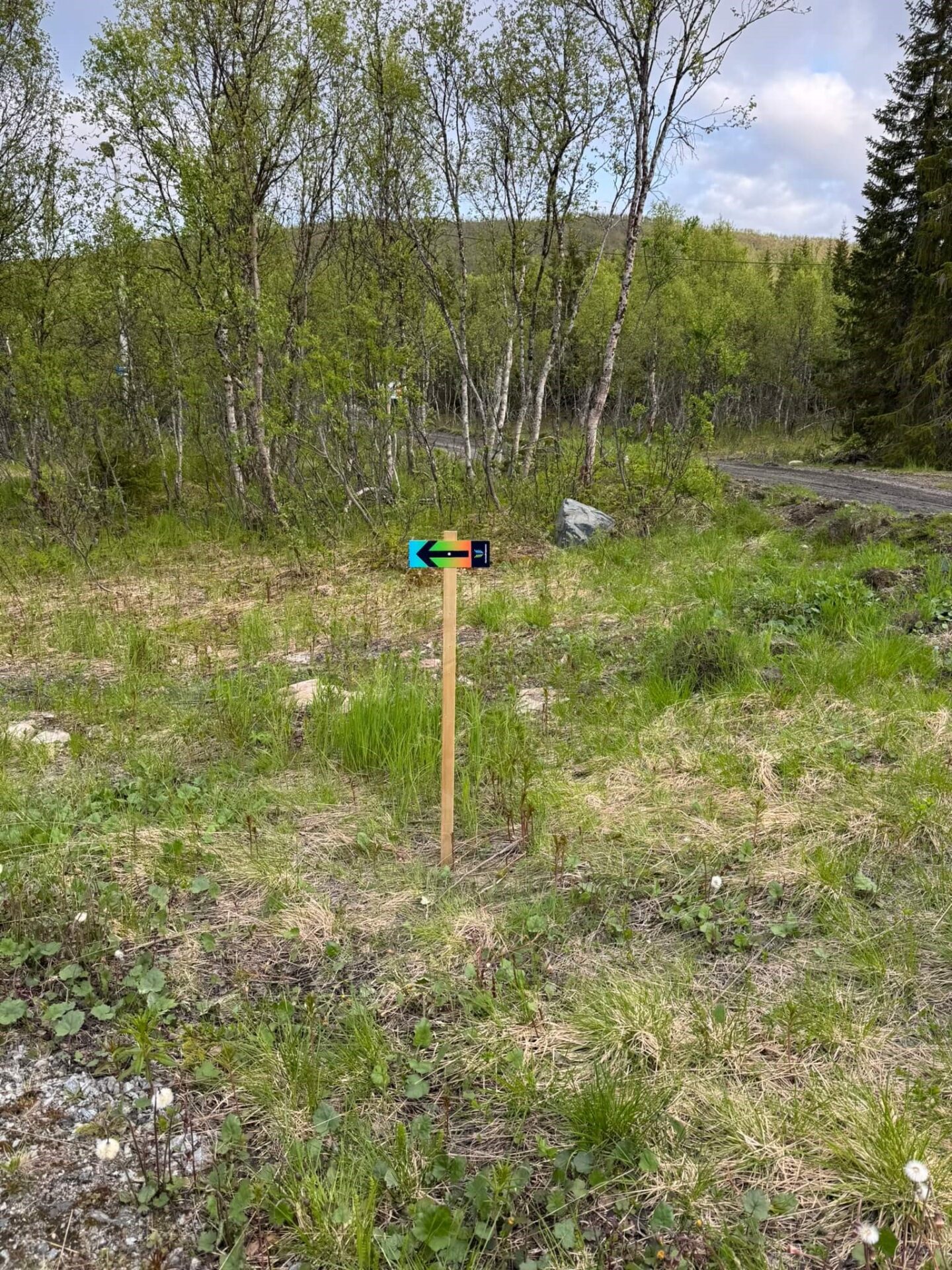 Merking og gjennomgang av løype! 5 IMG 2347