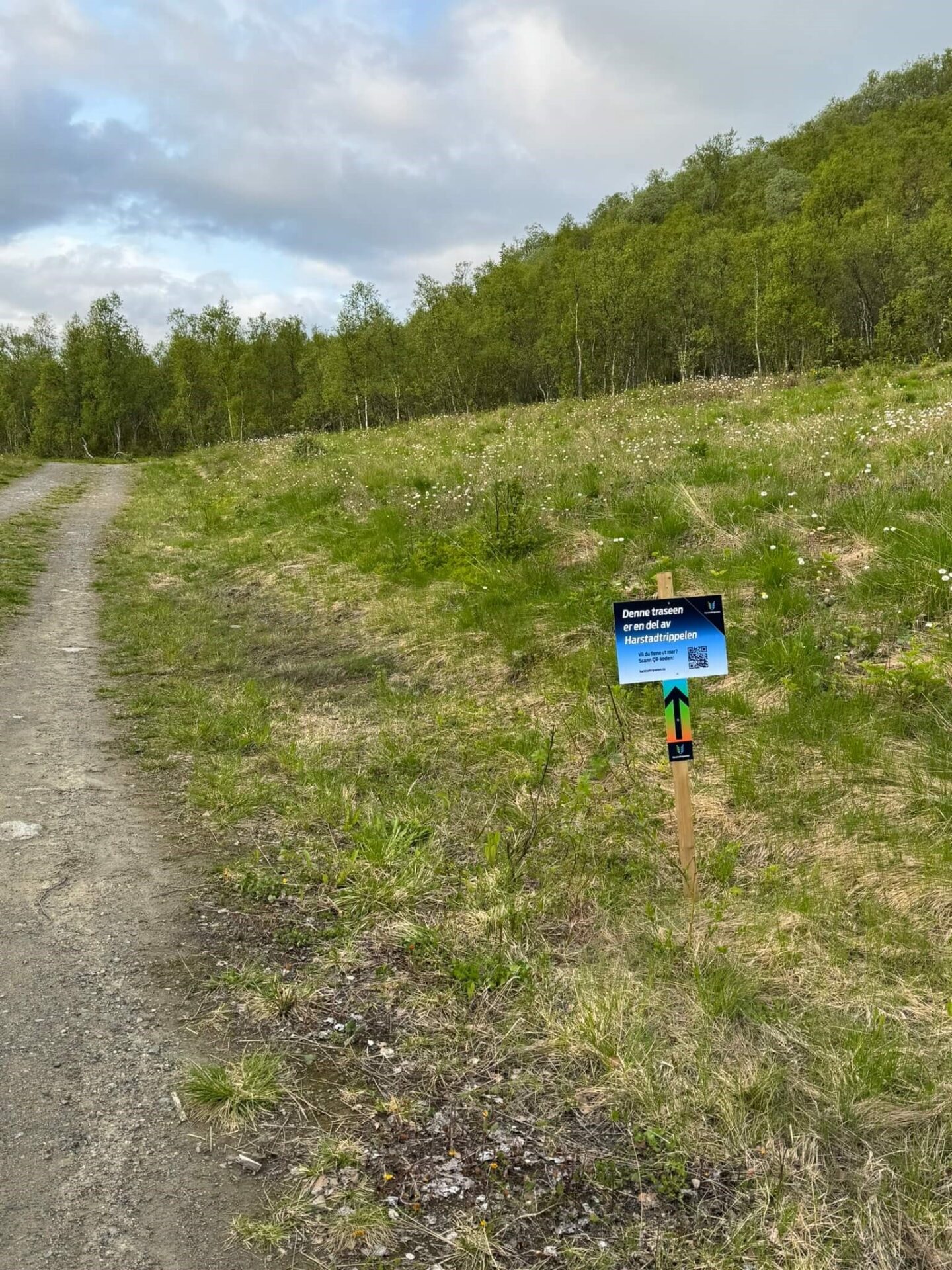 Merking og gjennomgang av løype! 2 IMG 2349