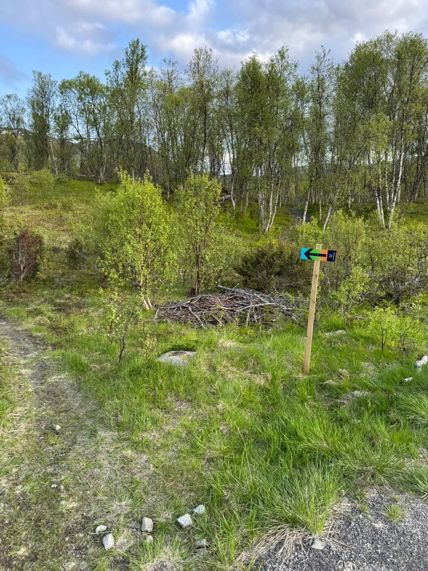 Merking og gjennomgang av løype! 3 IMG 2350